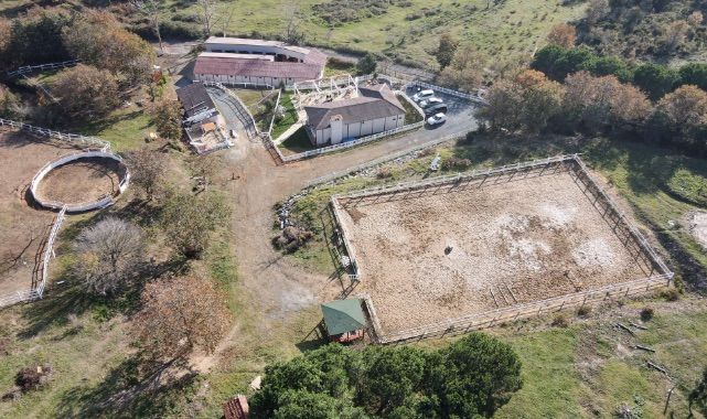 Atiye Atlı Yaşam Merkezi: Şehrin İçinde Doğal Yaşam